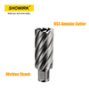 HSS M2 Annular Cutter with Weldon Shank for Industrial Usage